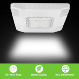 LED Canopy Light - 150W - 21,000 Lumens - 5 Year Warranty - Slim profile